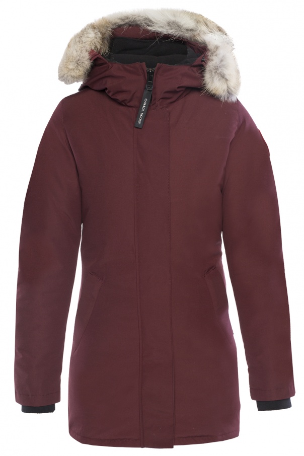 Canada goose 2025 victoria norge